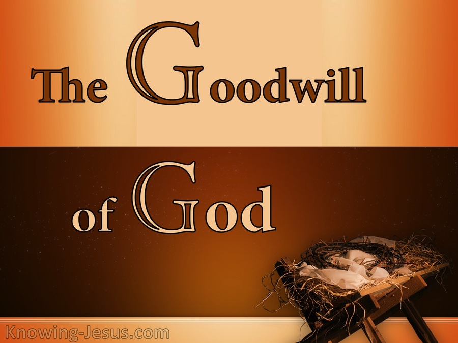 Luke 2:14 The Goodwill of God (devotional)08:21 (orange)